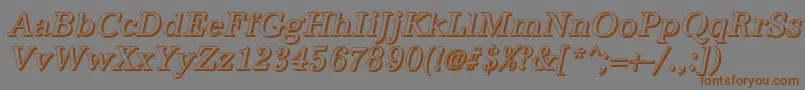 fuente AntiquashCdItalic – Fuentes Marrones Sobre Fondo Gris