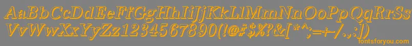 AntiquashCdItalic Font – Orange Fonts on Gray Background