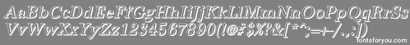 AntiquashCdItalic Font – White Fonts on Gray Background