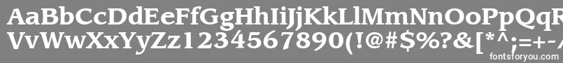 フォントItcLeawoodLtBold – 灰色の背景に白い文字