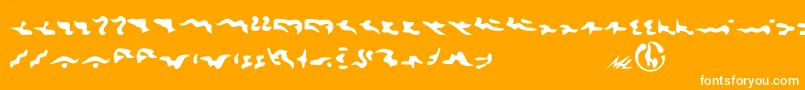 Tkon Font – White Fonts on Orange Background