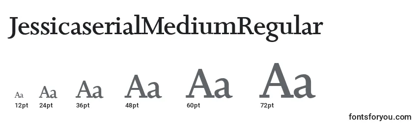 Размеры шрифта JessicaserialMediumRegular