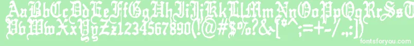 KrautTypefuck11 Font – White Fonts on Green Background