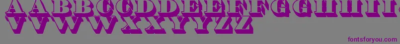 ShaddedTfb Font – Purple Fonts on Gray Background