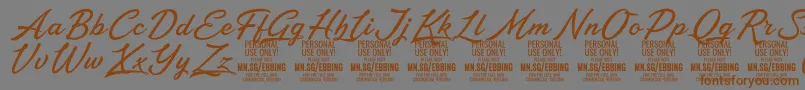 Czcionka EbbingPersonalUseOnly – brązowe czcionki na szarym tle