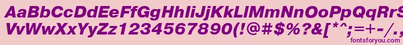 PragmaticaExtraboldOblique Font – Purple Fonts on Pink Background