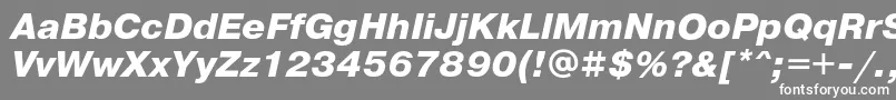 フォントPragmaticaExtraboldOblique – 灰色の背景に白い文字