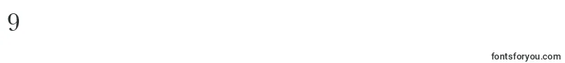 BaskervilleSmallCapsSsiSmallCaps Font – Fonts for Digit 9