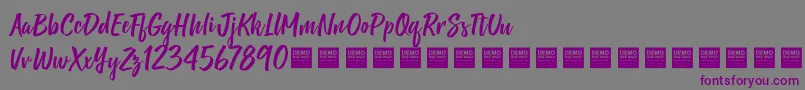 ShineBrightDemo Font – Purple Fonts on Gray Background