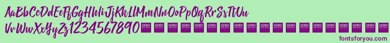 ShineBrightDemo Font – Purple Fonts on Green Background