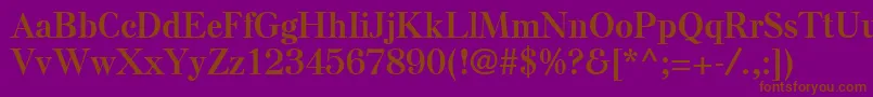 ElseLtBold Font – Brown Fonts on Purple Background