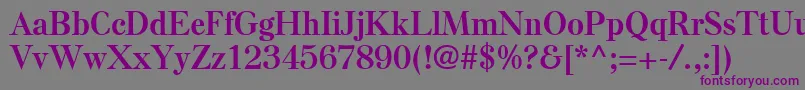 ElseLtBold Font – Purple Fonts on Gray Background