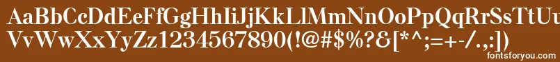 ElseLtBold Font – White Fonts on Brown Background
