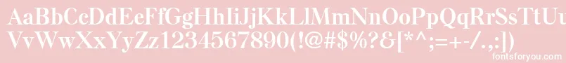 ElseLtBold Font – White Fonts on Pink Background