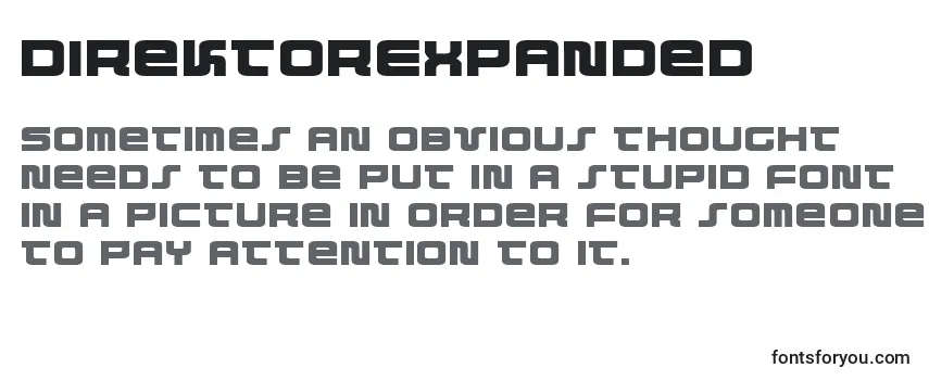 Review of the DirektorExpanded Font