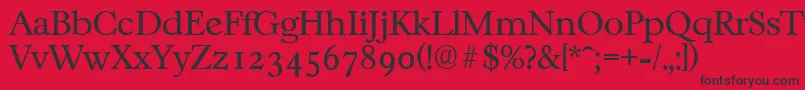 CasablancaserialLightRegular Font – Black Fonts on Red Background