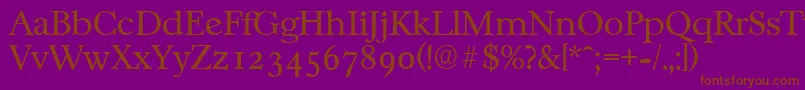 CasablancaserialLightRegular Font – Brown Fonts on Purple Background