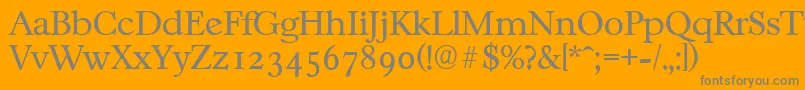 CasablancaserialLightRegular Font – Gray Fonts on Orange Background