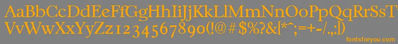 CasablancaserialLightRegular Font – Orange Fonts on Gray Background
