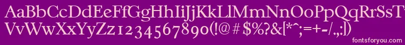 CasablancaserialLightRegular Font – Pink Fonts on Purple Background