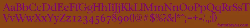 CasablancaserialLightRegular Font – Purple Fonts on Brown Background