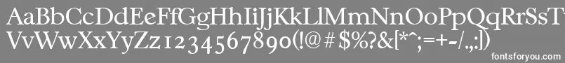 フォントCasablancaserialLightRegular – 灰色の背景に白い文字