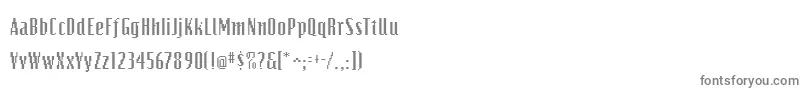 Bits Font – Gray Fonts on White Background