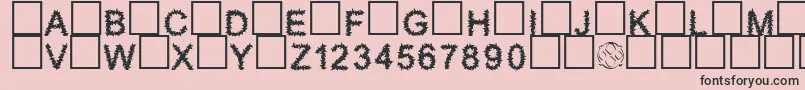 Furry Font – Black Fonts on Pink Background