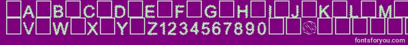 Furry Font – Green Fonts on Purple Background