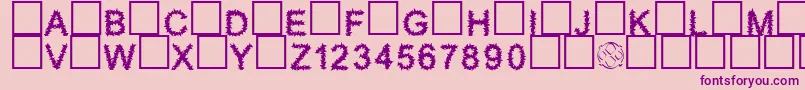 Furry Font – Purple Fonts on Pink Background