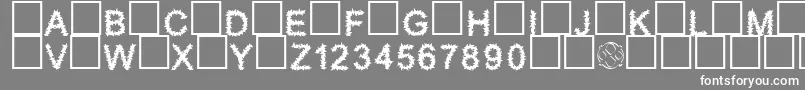 Furry Font – White Fonts on Gray Background