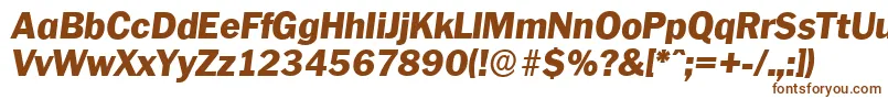 フォントPlymouthserialHeavyItalic – 白い背景に茶色のフォント