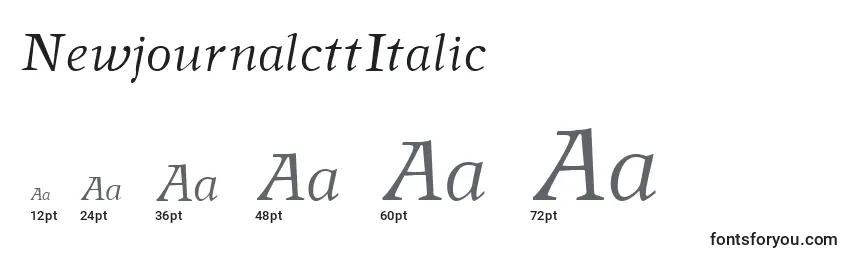 Размеры шрифта NewjournalcttItalic