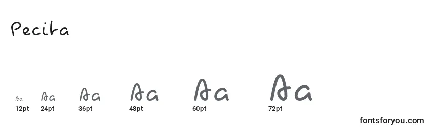 Размеры шрифта Pecita