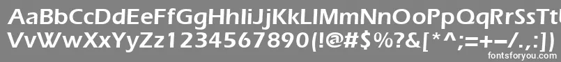 Шрифт Everestdemi – белые шрифты на сером фоне