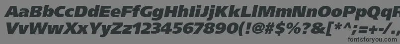 Czcionka AgforeignerultrablackcItalic – czarne czcionki na szarym tle