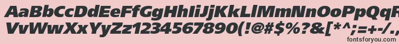 More about AgforeignerultrablackcItalic Font AgforeignerultrablackcItalic Font – Black Fonts on Pink Background