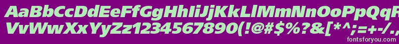 More about AgforeignerultrablackcItalic Font AgforeignerultrablackcItalic Font – Green Fonts on Purple Background