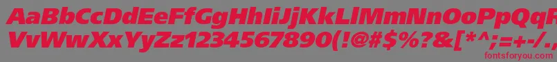 AgforeignerultrablackcItalic Font – Red Fonts on Gray Background