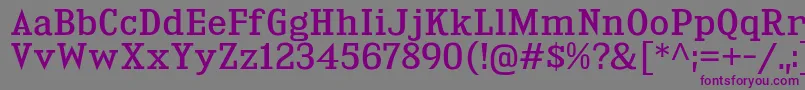 Шрифт KingsbridgeRg – фиолетовые шрифты на сером фоне