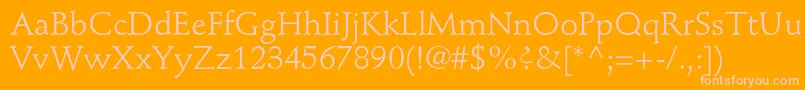 StempelschneidlerstdRoman Font – Pink Fonts on Orange Background