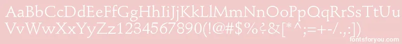 StempelschneidlerstdRoman-Schriftart – Weiße Schriften auf rosa Hintergrund