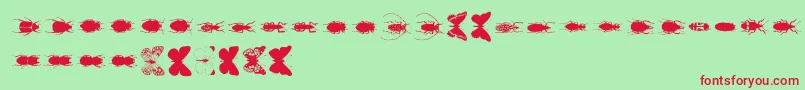 Chileanbugs Font – Red Fonts on Green Background