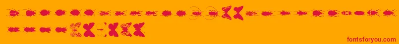 Chileanbugs-Schriftart – Rote Schriften auf orangefarbenem Hintergrund