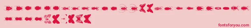 Chileanbugs Font – Red Fonts on Pink Background