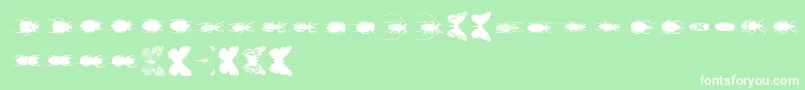 Chileanbugs Font – White Fonts on Green Background