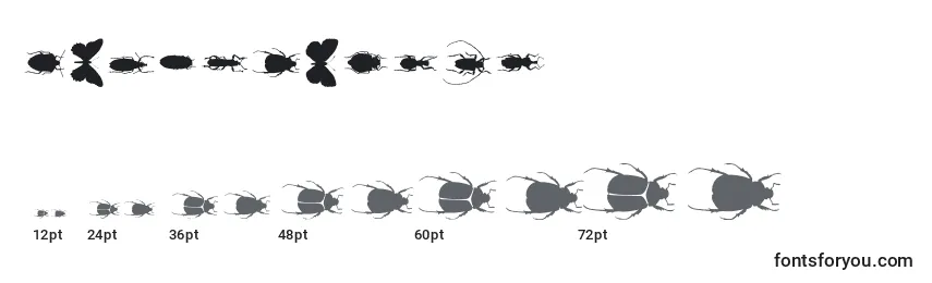 Размеры шрифта Chileanbugs