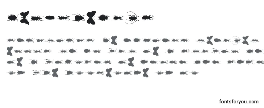 Обзор шрифта Chileanbugs