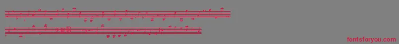 フォントLassusMedium – 赤い文字の灰色の背景