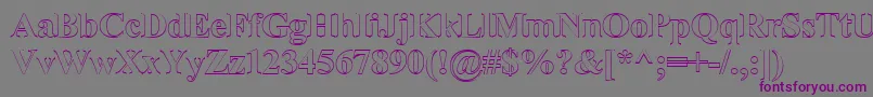 Gloucest Font – Purple Fonts on Gray Background